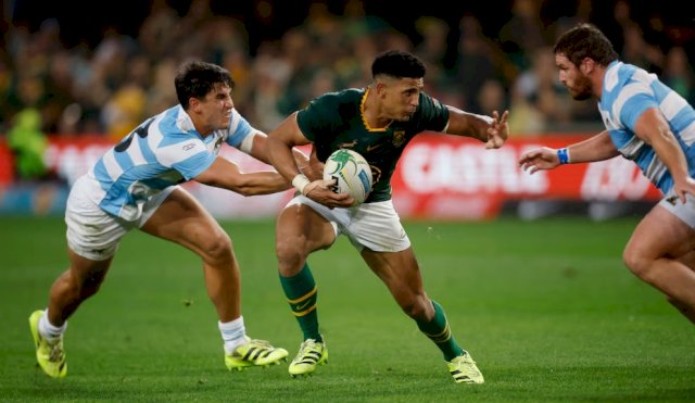 LOS PUMAS